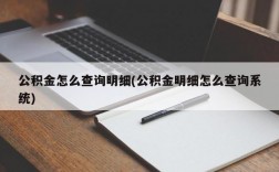 公积金怎么查询明细(公积金明细怎么查询系统)