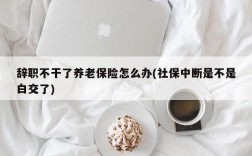 辞职不干了养老保险怎么办(社保中断是不是白交了)