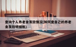 查询个人养老金发放情况(如何查自己的养老金发放明细帐)