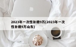 2023年一次性补缴9万(2023年一次性补缴9万山东)