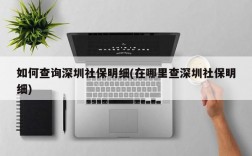 如何查询深圳社保明细(在哪里查深圳社保明细)