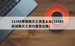 12345举报拖欠工资怎么办(12345投诉拖欠工资力度怎么样)