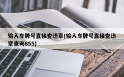 输入车牌号直接查违章(输入车牌号直接查违章查询855)