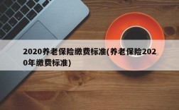 2020养老保险缴费标准(养老保险2020年缴费标准)