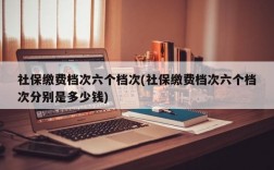 社保缴费档次六个档次(社保缴费档次六个档次分别是多少钱)