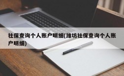 社保查询个人账户明细(潍坊社保查询个人账户明细)