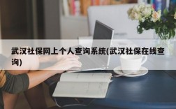 武汉社保网上个人查询系统(武汉社保在线查询)