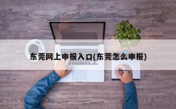 东莞网上申报入口(东莞怎么申报)