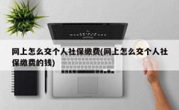 网上怎么交个人社保缴费(网上怎么交个人社保缴费的钱)