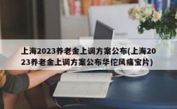 上海2023养老金上调方案公布(上海2023养老金上调方案公布华佗风痛宝片)