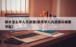 新手怎么学人力资源(新手学人力资源从哪里学起)