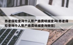 养老保险查询个人账户缴费明细查询(养老保险查询个人账户缴费明细查询微信)