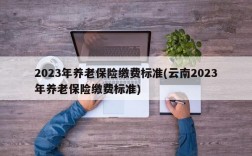 2023年养老保险缴费标准(云南2023年养老保险缴费标准)