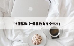 社保基数(社保基数有几个档次)