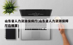 山东省人力资源保障厅(山东省人力资源保障厅在哪里)