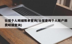 社保个人明细账单查询(社保查询个人账户缴费明细查询)