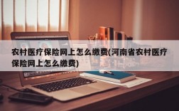 农村医疗保险网上怎么缴费(河南省农村医疗保险网上怎么缴费)