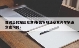 交管局网站违章查询(交管局违章查询车辆违章查询网)