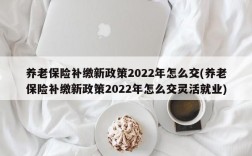 养老保险补缴新政策2022年怎么交(养老保险补缴新政策2022年怎么交灵活就业)