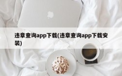 违章查询app下载(违章查询app下载安装)