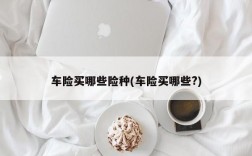 车险买哪些险种(车险买哪些?)