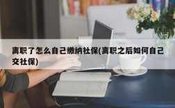 离职了怎么自己缴纳社保(离职之后如何自己交社保)