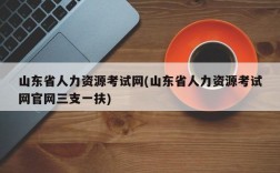 山东省人力资源考试网(山东省人力资源考试网官网三支一扶)