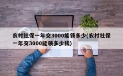 农村社保一年交3000能领多少(农村社保一年交3000能领多少钱)