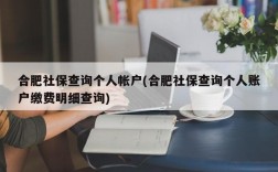 合肥社保查询个人帐户(合肥社保查询个人账户缴费明细查询)