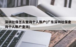 深圳社保怎么查询个人账户(广东深圳社保查询个人账户查询)