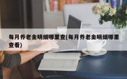 每月养老金明细哪里查(每月养老金明细哪里查看)