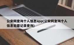 公安网查询个人信息app(公安网查询个人信息犯罪记录查询)