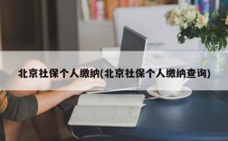 北京社保个人缴纳(北京社保个人缴纳查询)