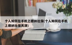 个人如何在手机上缴纳社保(个人如何在手机上缴纳社保天津)