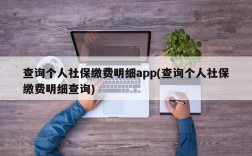 查询个人社保缴费明细app(查询个人社保缴费明细查询)