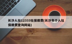 长沙人社12333社保缴费(长沙市个人社保缴费查询网站)