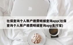 社保查询个人账户缴费明细查询app(社保查询个人账户缴费明细查询app支付宝)