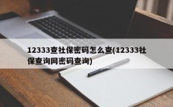 12333查社保密码怎么查(12333社保查询网密码查询)