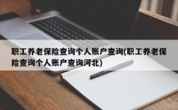 职工养老保险查询个人账户查询(职工养老保险查询个人账户查询河北)