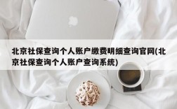 北京社保查询个人账户缴费明细查询官网(北京社保查询个人账户查询系统)