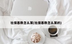 社保基数怎么算(社保基数怎么算的)