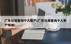 广东社保查询个人账户(广东社保查询个人账户明细)