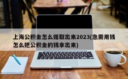 上海公积金怎么提取出来2023(急需用钱怎么把公积金的钱拿出来)