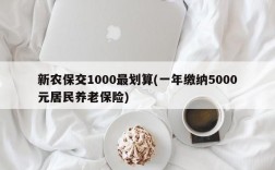 新农保交1000最划算(一年缴纳5000元居民养老保险)