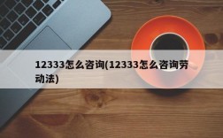 12333怎么咨询(12333怎么咨询劳动法)