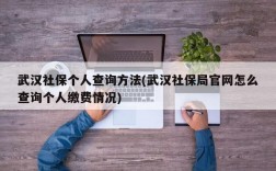 武汉社保个人查询方法(武汉社保局官网怎么查询个人缴费情况)