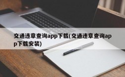 交通违章查询app下载(交通违章查询app下载安装)