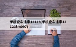 手机查车违章12123(手机查车违章12123tm097)