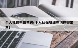 个人社保明细查询(个人社保明细查询在哪里查)