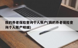 我的养老保险查询个人账户(我的养老保险查询个人账户明细)